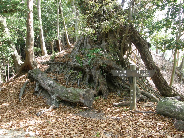 m 14^96 n@AJKVi_ސV 2013.6.14tŏЉj̍ւǂB9:00B