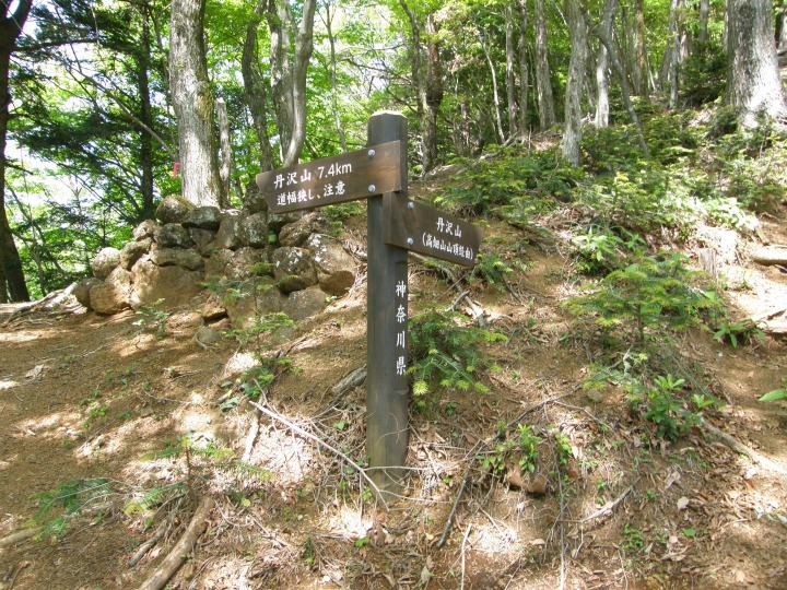 m 20^96 n@͍RI񂷂oRBEARցB