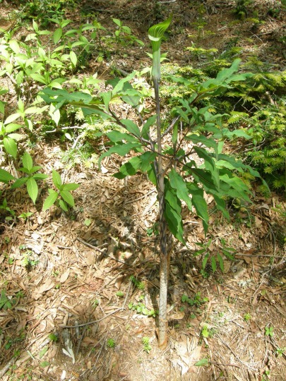 m 21^96 n@AI}VOTi坑jBTgCȁEeiVEB