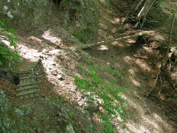 m 28^96 n@ΖʂɂꂽoRBvӁB