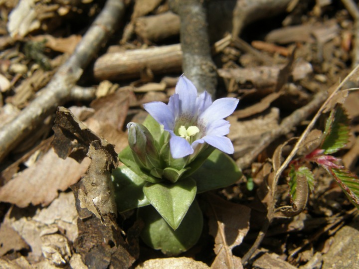 m 41^96 n@hEi_jBhEȁB