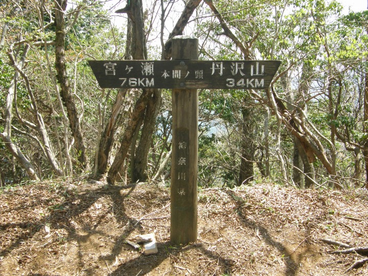 m 42^96 n@{ԃmiق܂ ܁^jvBOOi݂݂ˁj̈BB