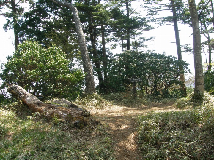 m 48^96 n@~R؃mi񂴂񂬂 ܁^jvBBW1360B13:40B