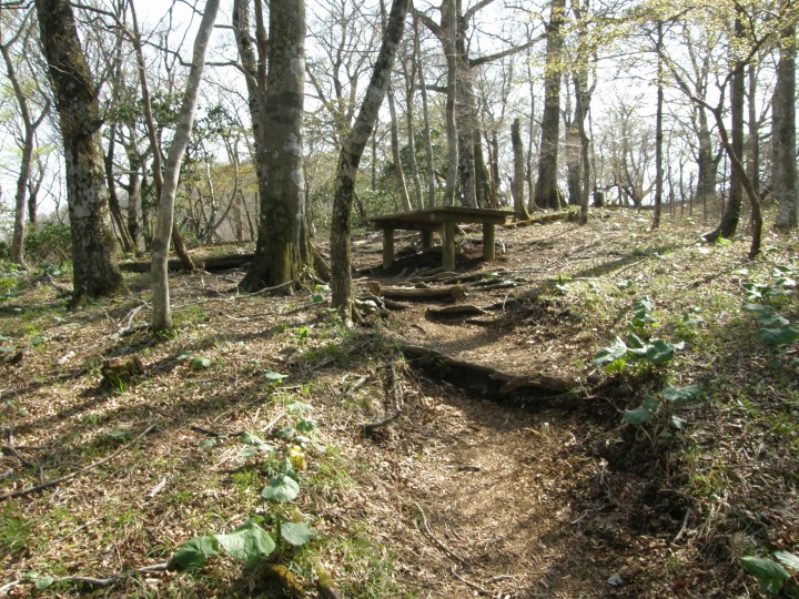 m 57^96 n@ˑ̓iƂ̂܁jvB14:50B