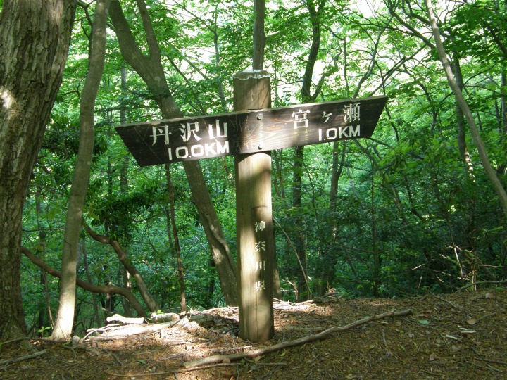 m 6^96 n@10.0jl̕Wʉ