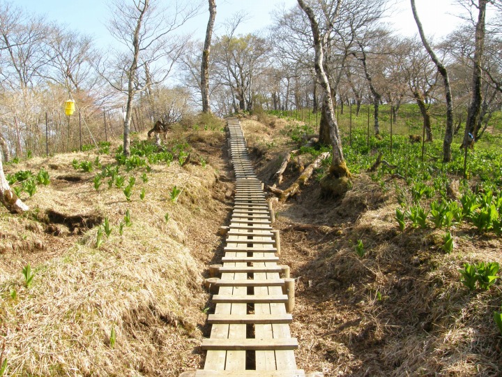 m 62^96 n@ROBIIoCPC\Ei~jʂɐĂBȁB