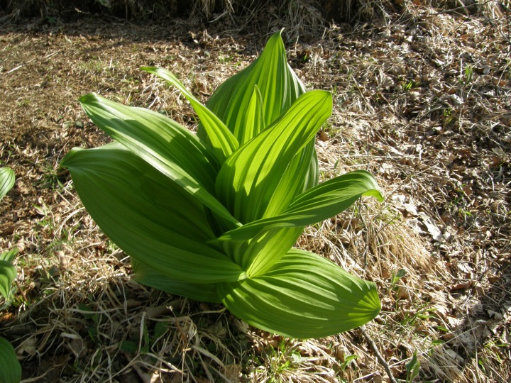 m 63^96 n@BLŁBł̒ŏǗ񍐂B