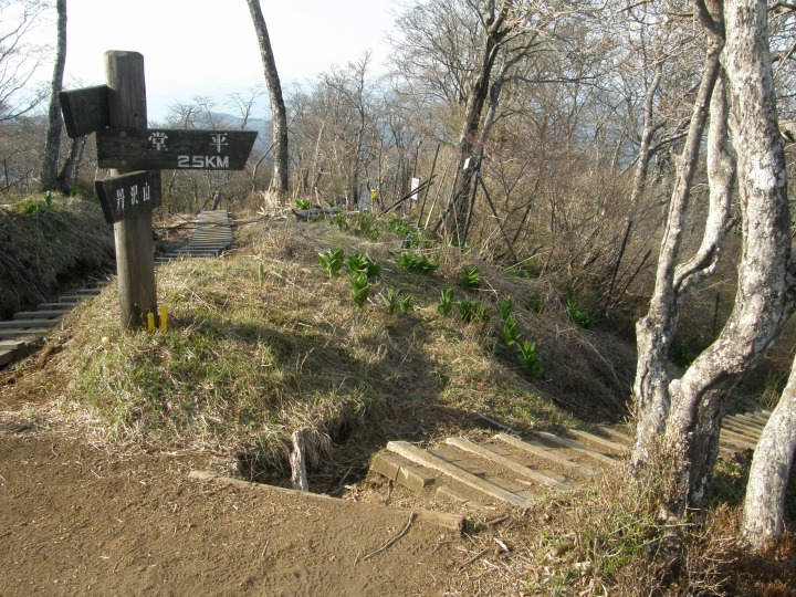 m 75^96 n@_ւǂB2.5jlցB