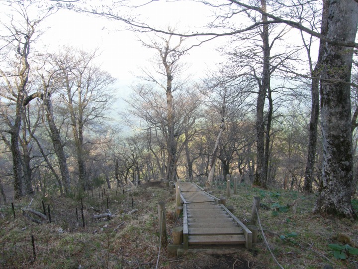 m 77^96 n@؂̊Ki΂炭