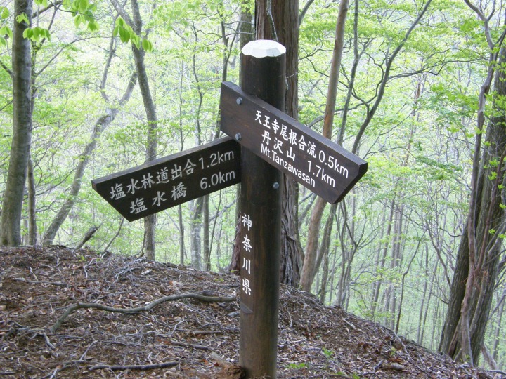 m 82^96 n@i݂jѓo1.2v