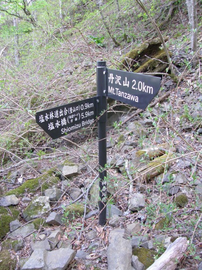 m 85^96 n@ѓoioRj0.9