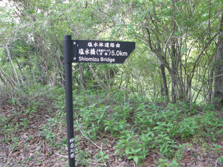 m 90^96 n@ѓoR iѓQ[gʁj5.0