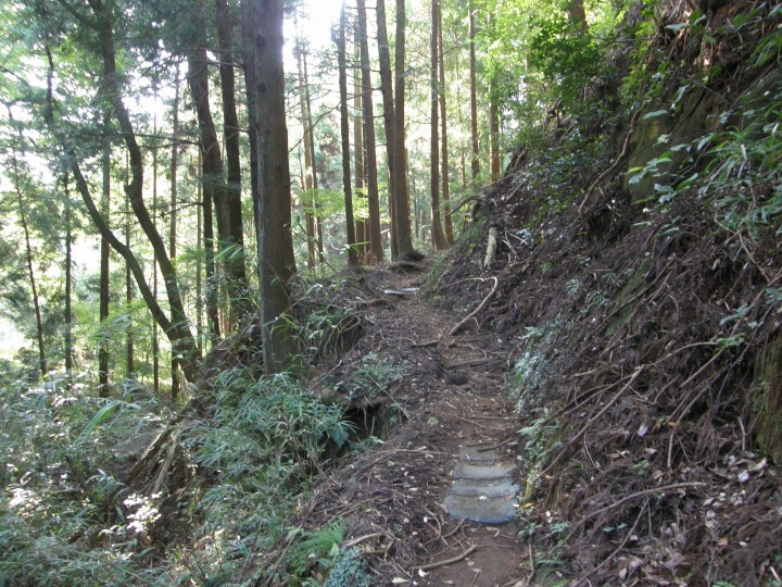 m 12^78 n@؂̓XMAJiCkKE~̉\jANkMȂǂ