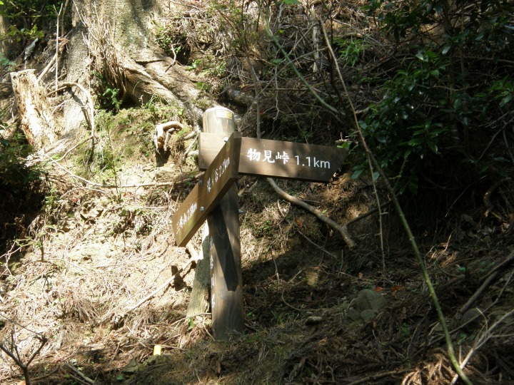 m 19^78 n@1.1vBȏA_ɂāB