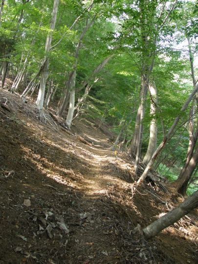 m 20^78 n@͂JĂāA炵悭Ȃ