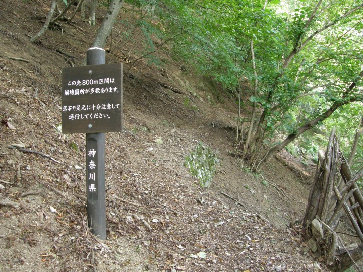 m 21^78 n@̐800Ԃ͕ӏ܂v