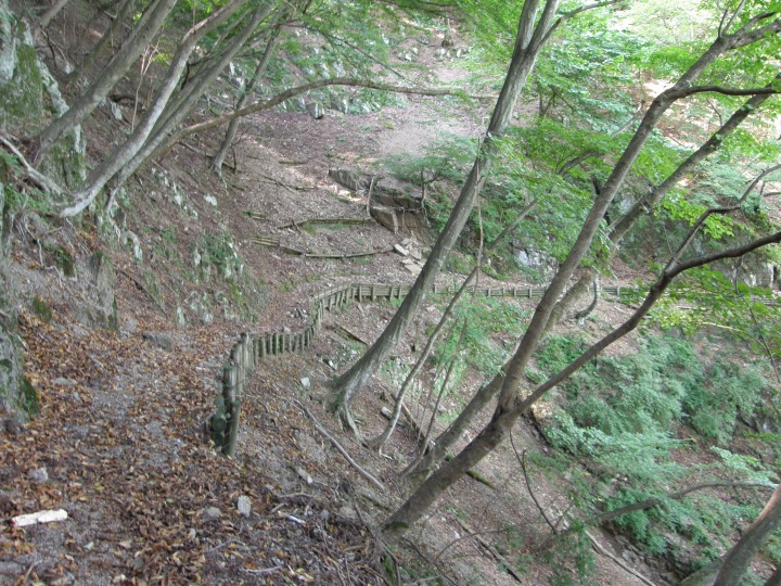 m 24^78 n@yoh~̍򂪖߂Ă