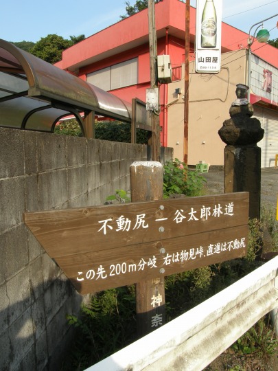 m 3^78 n@pWBJY쉈̓iށB