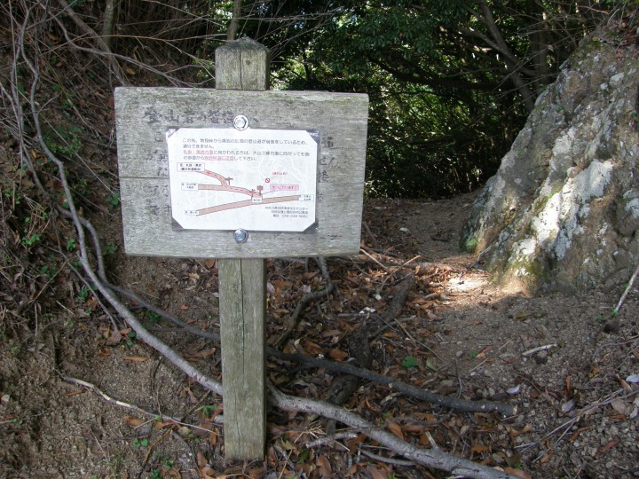 m 30^78 n@ւ̓oRvBWE̓oR͒ʍs~߁B