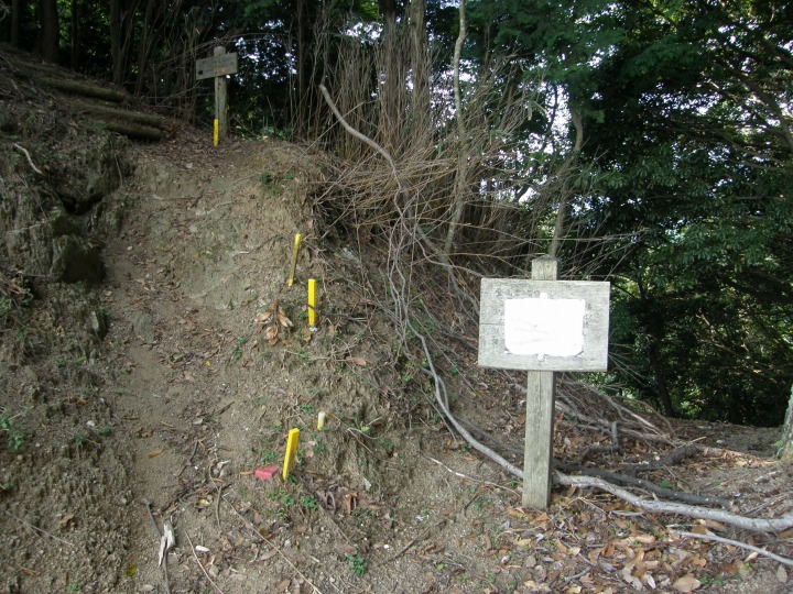 m 31^78 n@ɎORւ̓oR֓