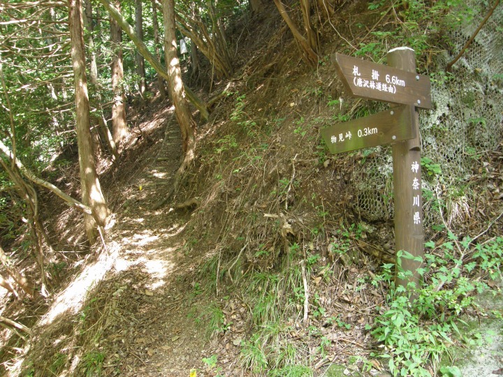 m 37^78 n@0.3vn_B詓ɂāBD|֌BuD|v͒n於ƎvB