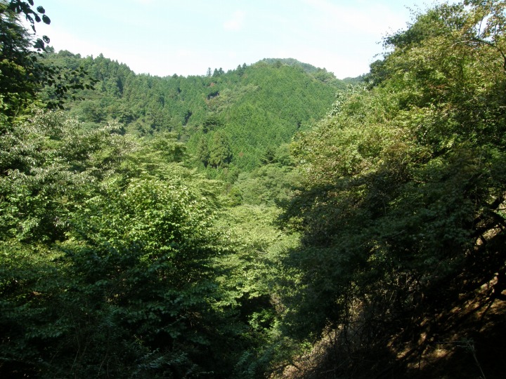 m 38^78 n@ѓBŏ͂邢Ō㔼͓oB