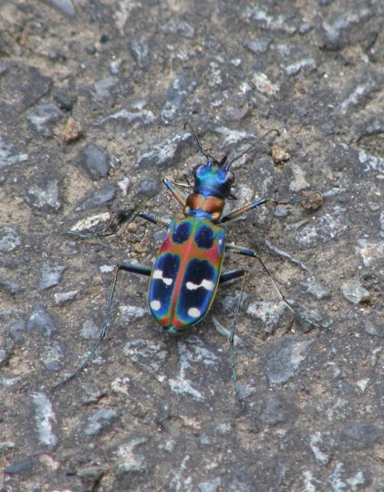 m 39^78 n@n~Ein~EȁjBYȒɕ~肽B