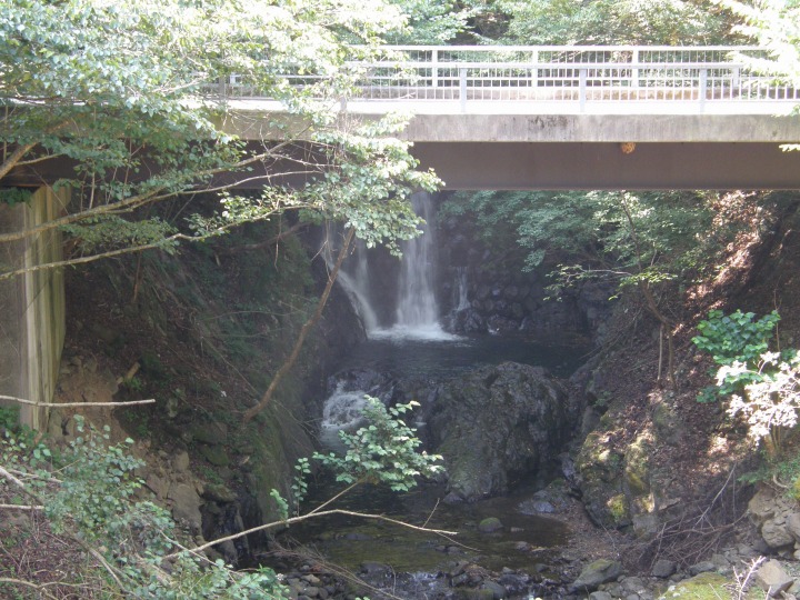 m 42^78 n@iĂj痬ꗎBʂ́ui炳jvB