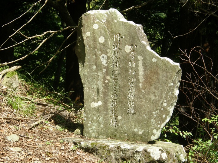 m 56^78 n@Ȃ̌i50I OD|̃~̌сvΕW