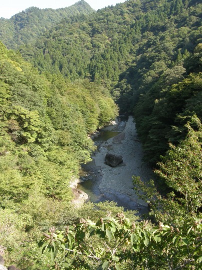 m 65^78 n@̒Bɑ傫Ȑ΂