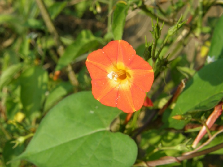 m 7^78 n@}o RE\Eiۗt~gjEqKIȁBMуAJY̋AAƂ̂ƁB